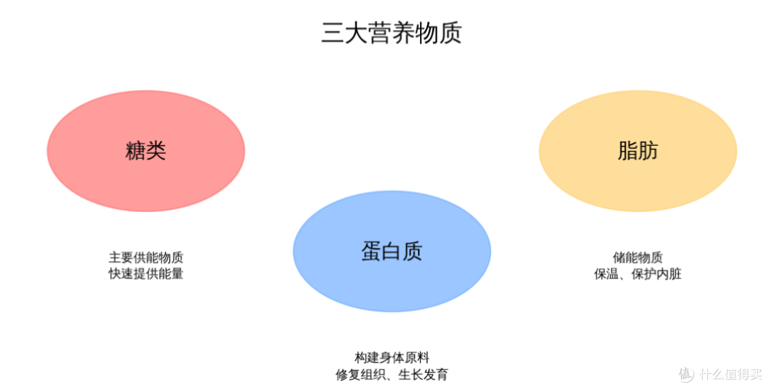 减肥20斤,练出六块腹肌,这几年我究竟做对了哪些事?(饮食篇)