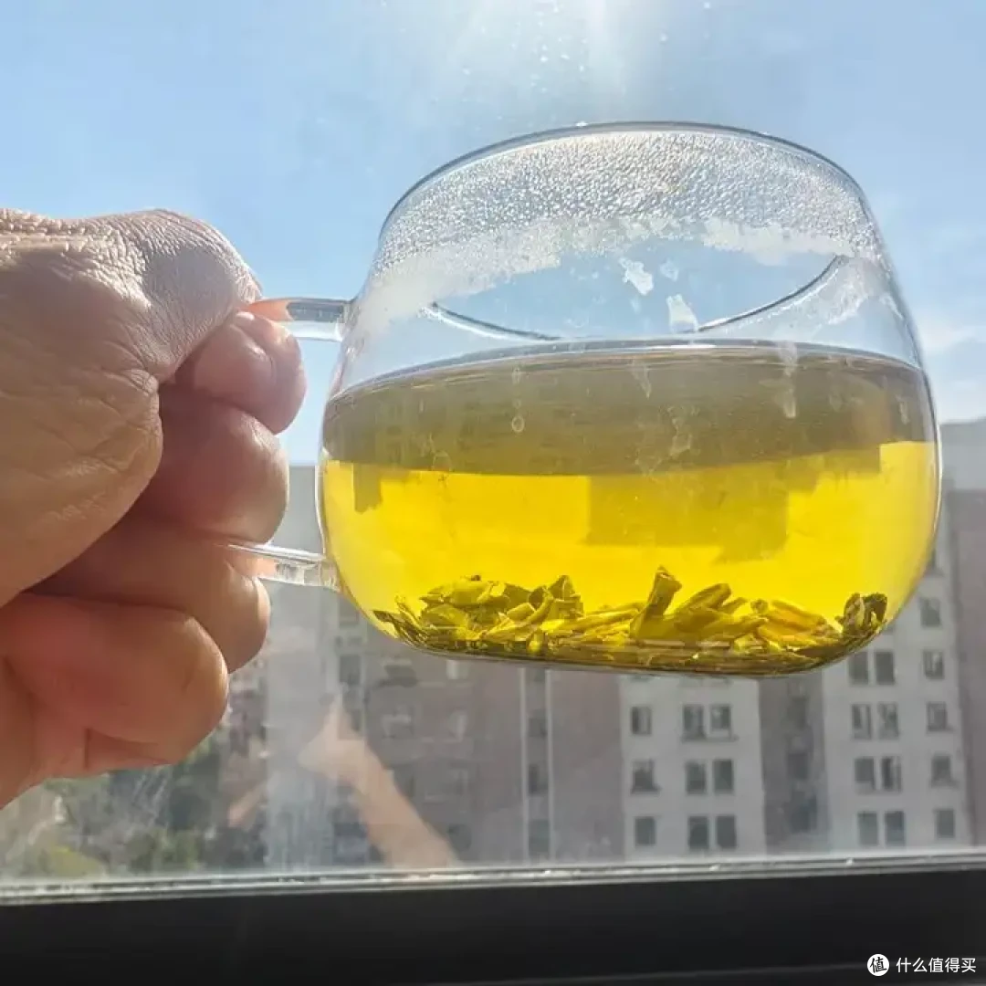 双十一必囤茉莉花茶推荐，兼顾香气与回甘，亲测好喝不踩雷！