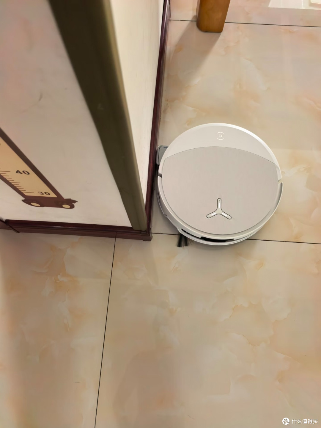双舱加持|科沃斯T90 Pro,毛孩家庭安心之选