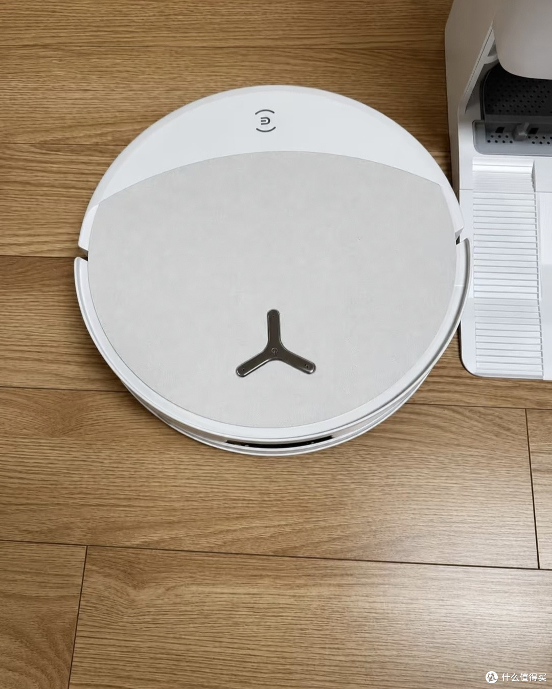 养宠家庭实测|科沃斯T30 Pro,终于不用剪滚刷猫毛了