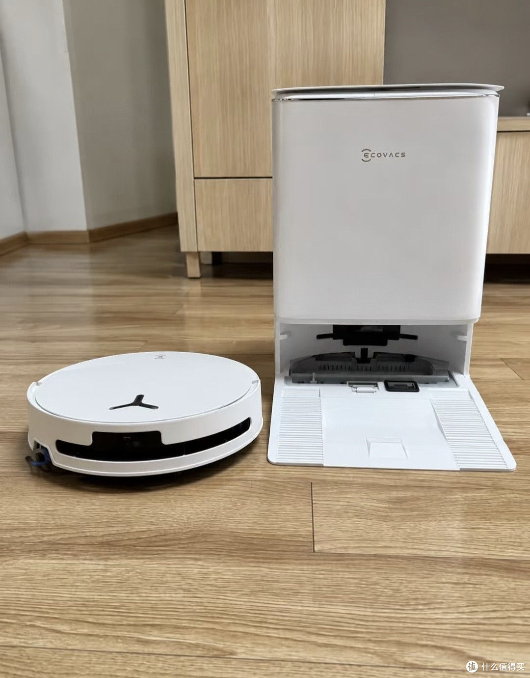 养宠家庭实测|科沃斯T30 Pro,终于不用剪滚刷猫毛了