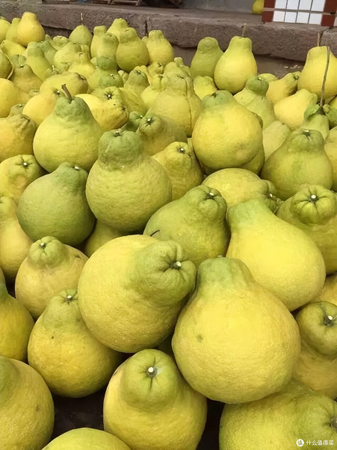 常见的柚子有哪些品种?哪个产地最好吃?一文全读懂,来涨知识了