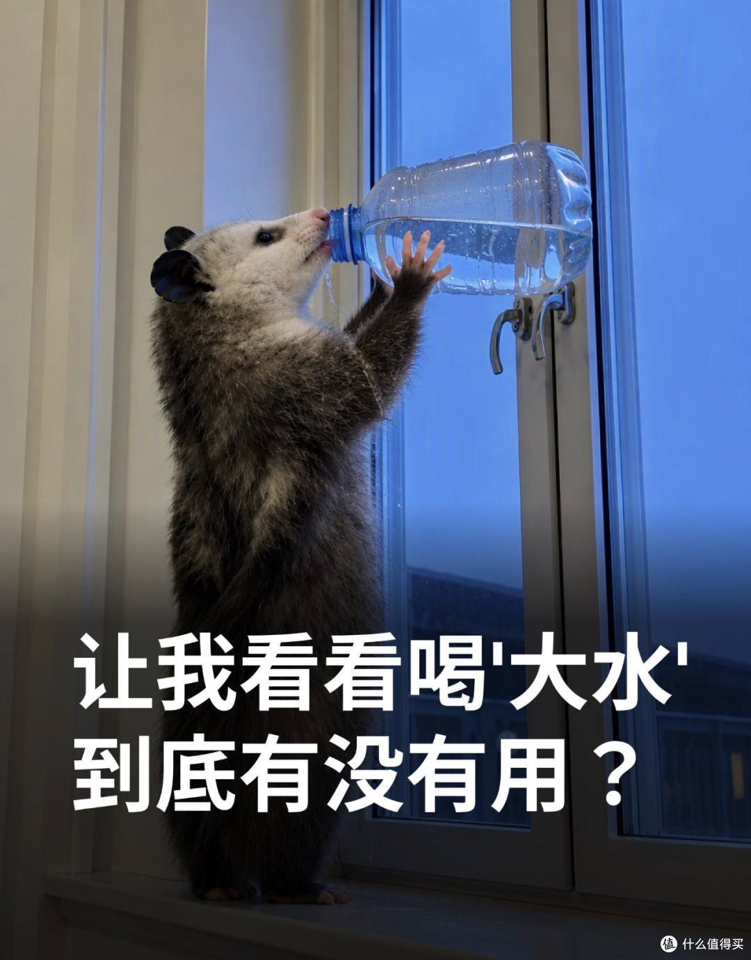 听说各种理论火了！知道啥叫大酒理论吗？大酒留回忆，小酌解深乏