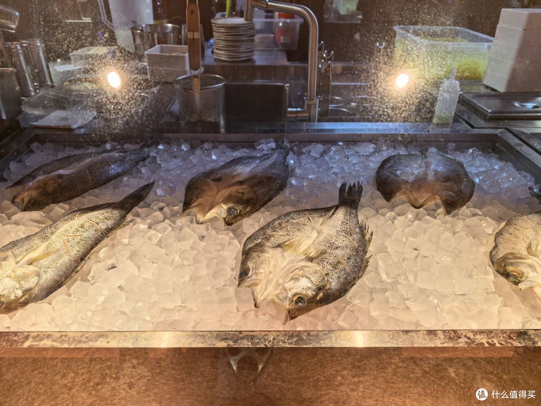 郑州丹尼斯洲际酒店周边觅食记:万象城 -扎西大叔大漠鱼社