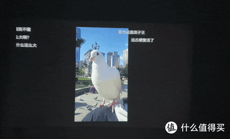 随身装进口袋里的100寸投影？躺床三秒钟就能大屏塞尔达？