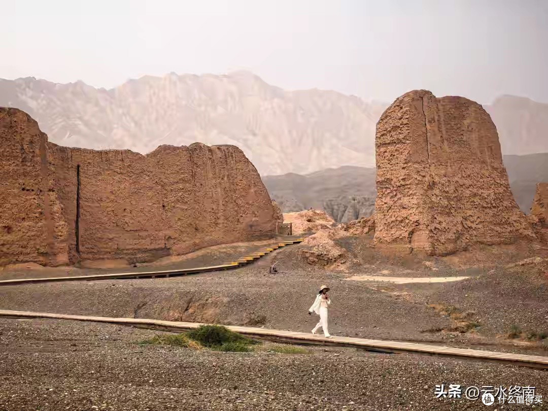 比益生菌时我先看每份活菌量,再看菌株编号