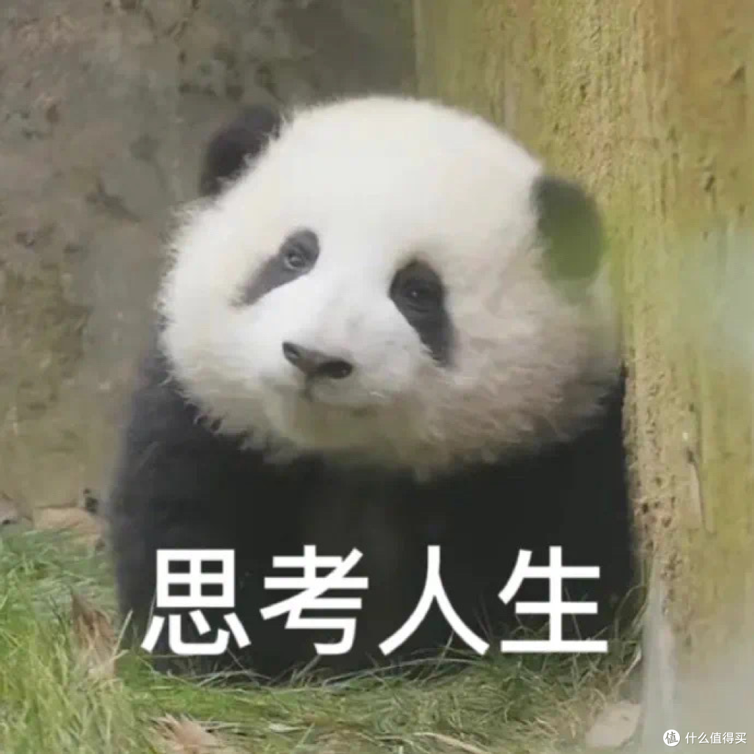 200多还给4.4和换线,你也太够意思了吧!