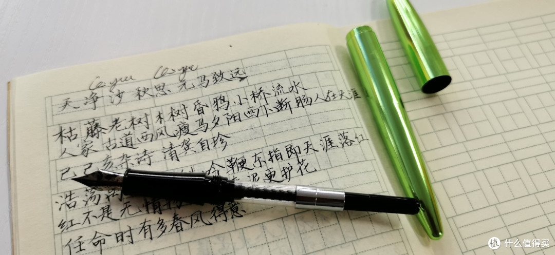 笔落惊风雨，墨影见蜂芒——蜂芒灵蛇