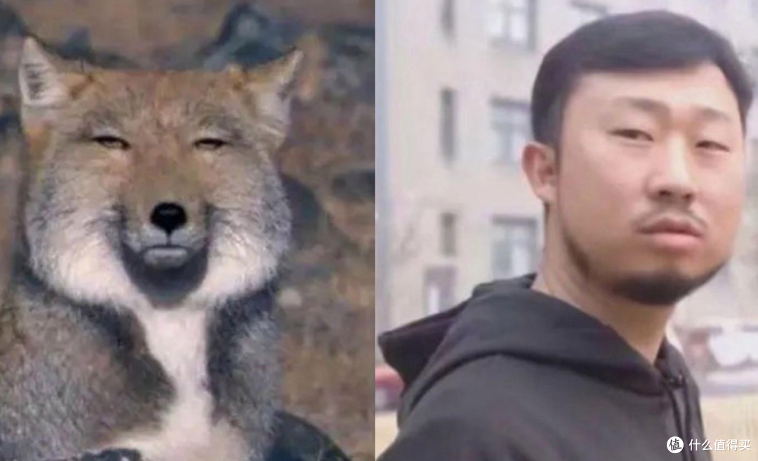 给孩子订科普杂志，《中国国家地理》和《博物》订阅体验分享
