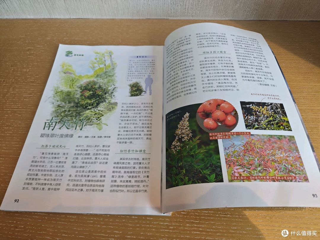 给孩子订科普杂志，《中国国家地理》和《博物》订阅体验分享