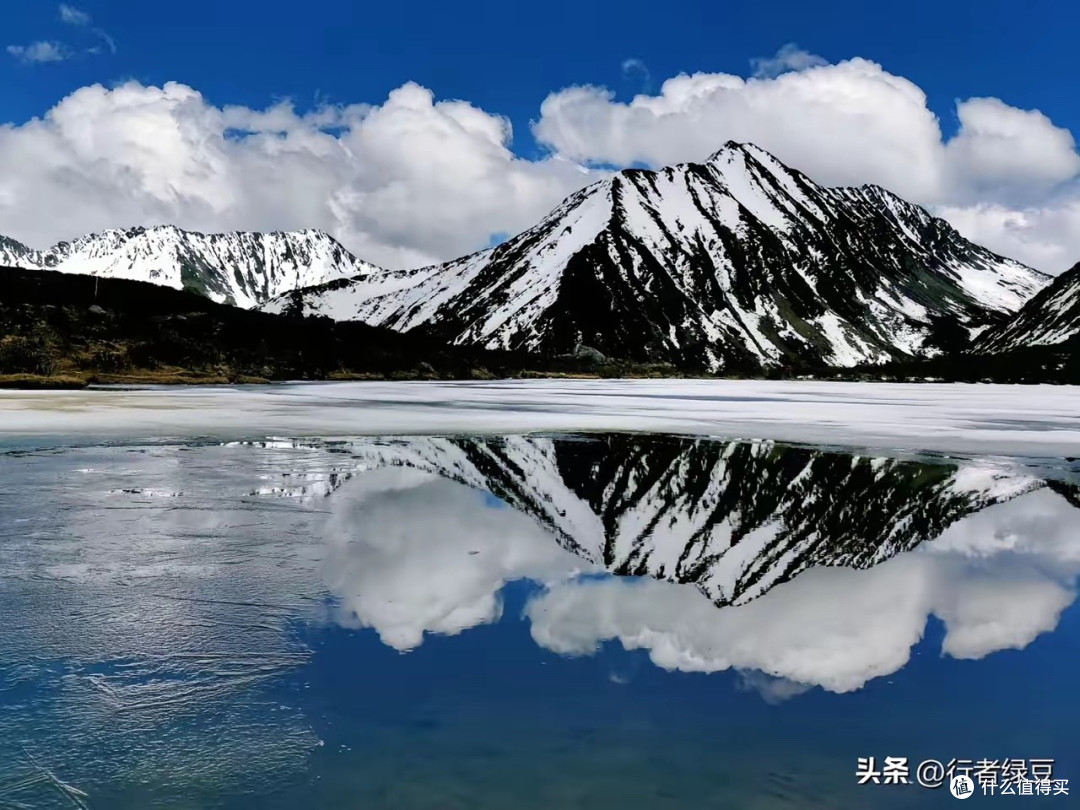 给家里成年人选鱼油怎么看?九款产品标签信息整理