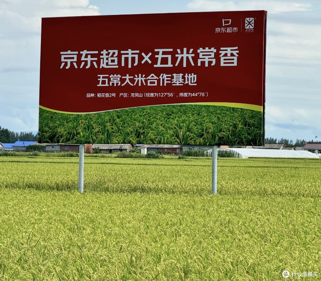 五常大米到底是什么米？又为什么吃着比普通大米要好吃呢