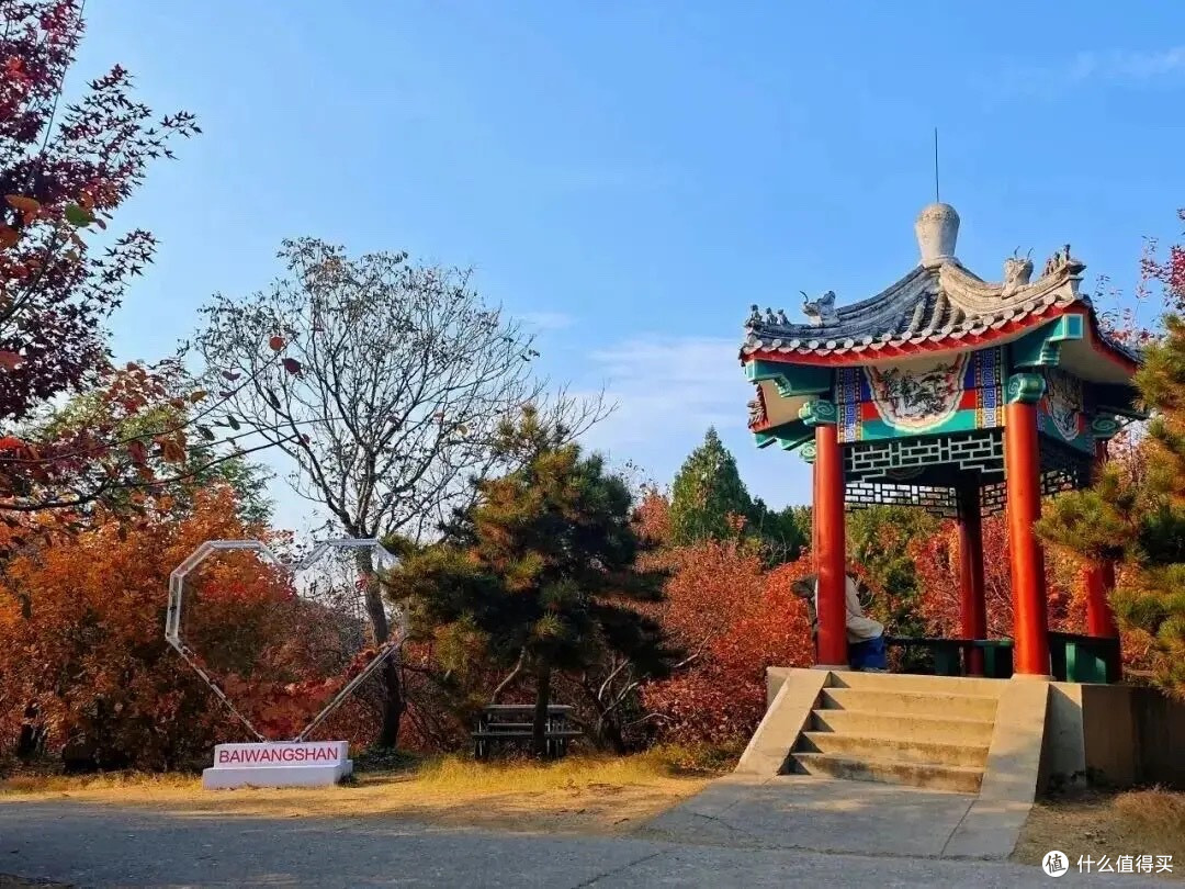 益生菌我不再问哪款最好：7款分别对应什么需求
