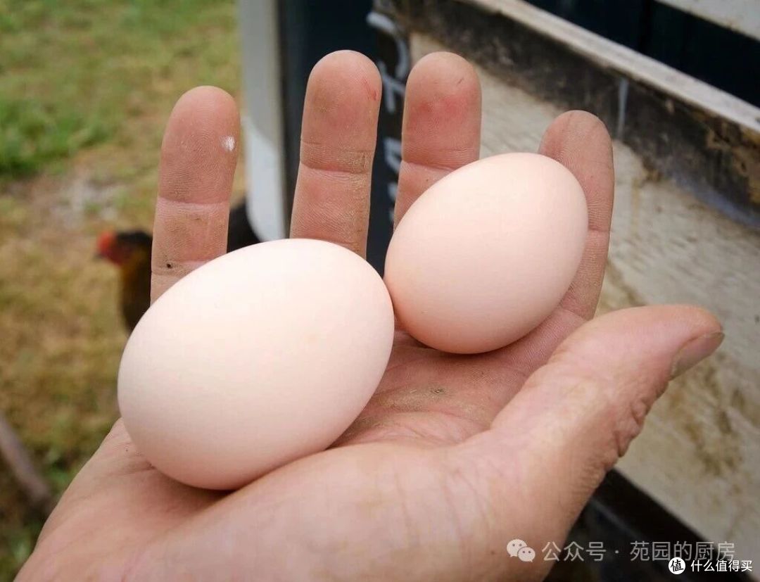 为什么煮熟的鸡蛋不能用冷水冲呢