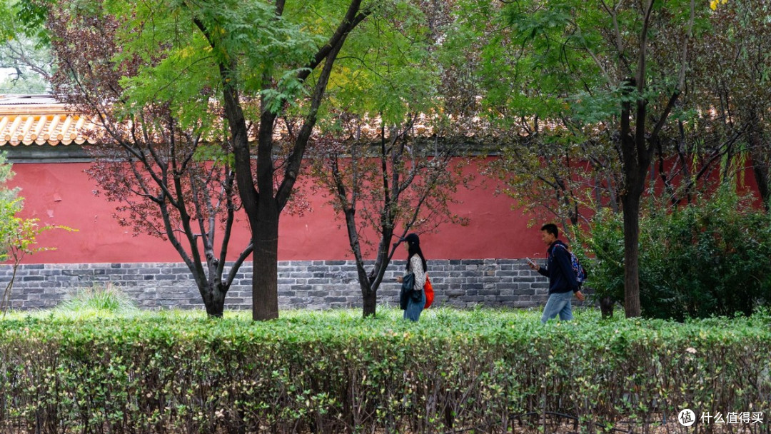 代谢这件事，最后还是落在每天怎么过日子上