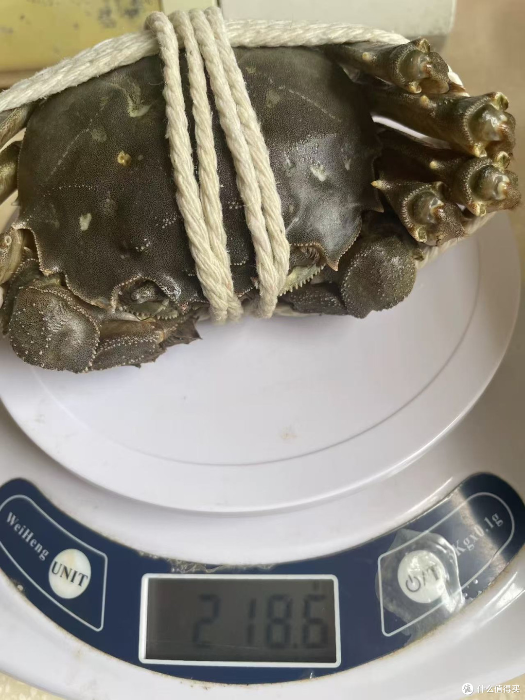 缺脚蟹到底值不值,三两母蟹性价比算账