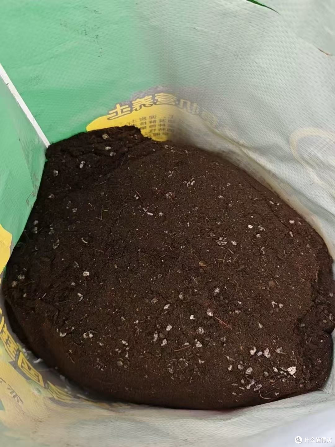 养花土松软透气有多重要，根系说了算