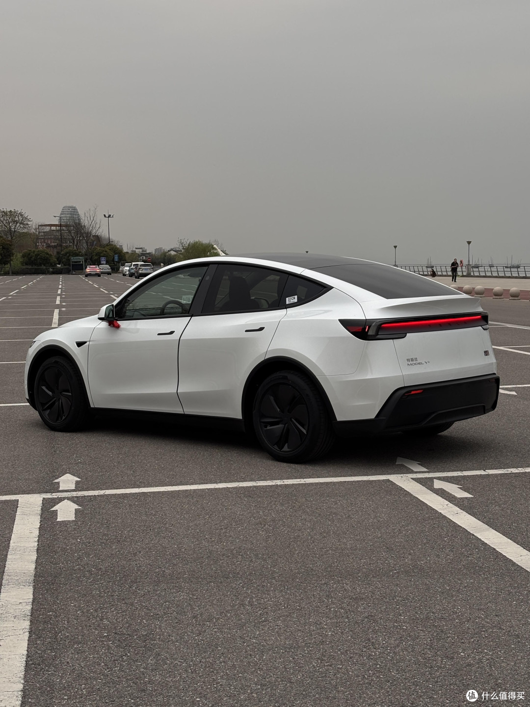 焕新Model Y试驾：驾驶者之车