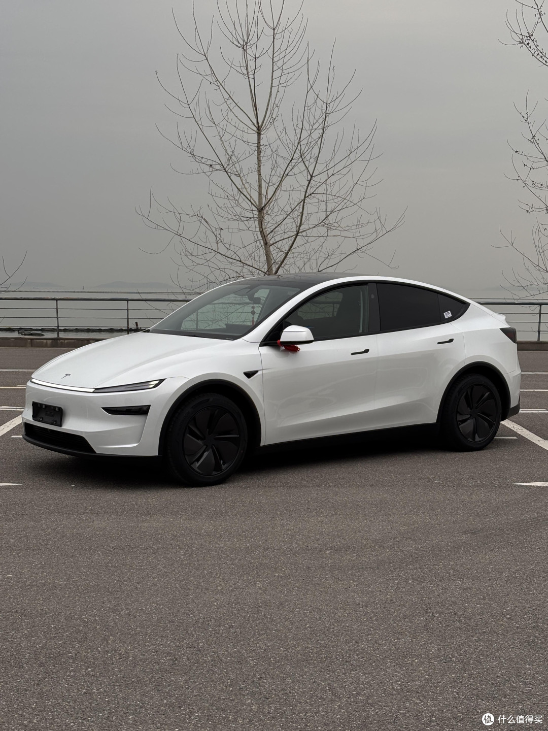 焕新Model Y试驾：驾驶者之车