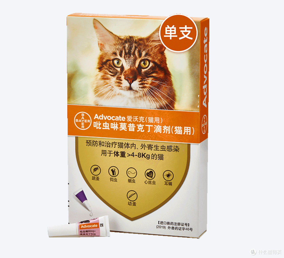2026犬猫驱虫药怎么选？内外同驱、滴剂喷剂、幼宠跳蚤品牌横评