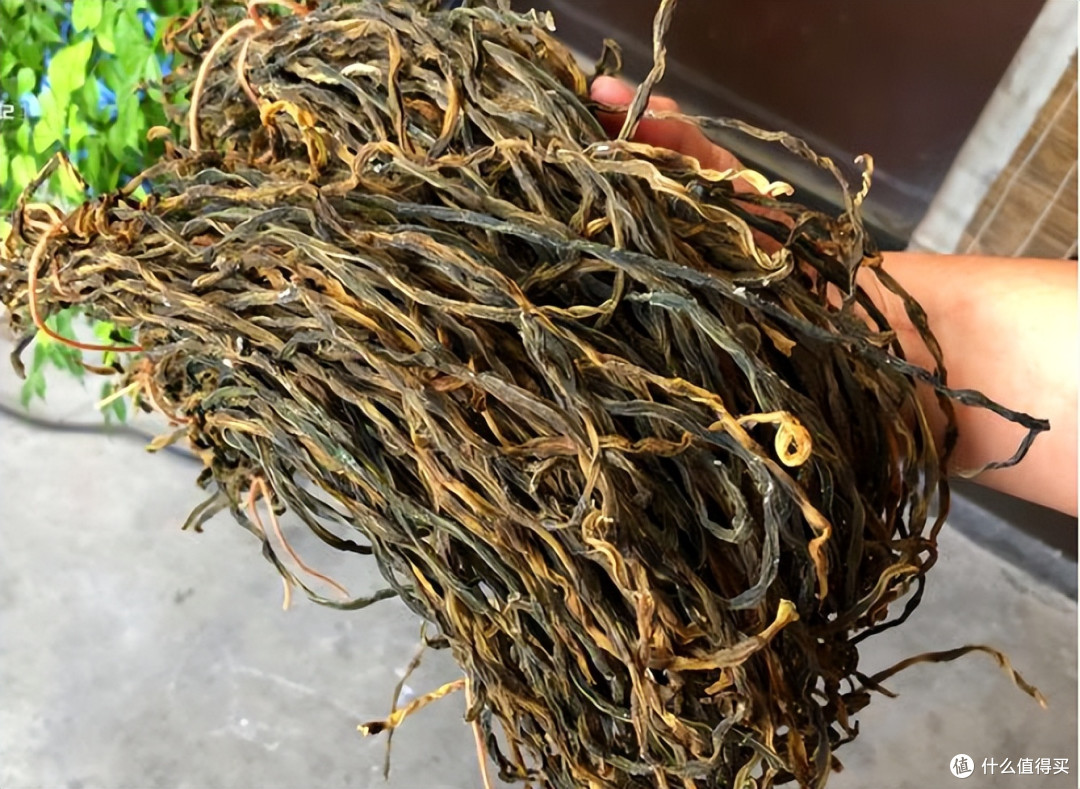 10月这菜是个宝,捡来晒干囤起来,冬天炖肉香飘满屋,错过等一年