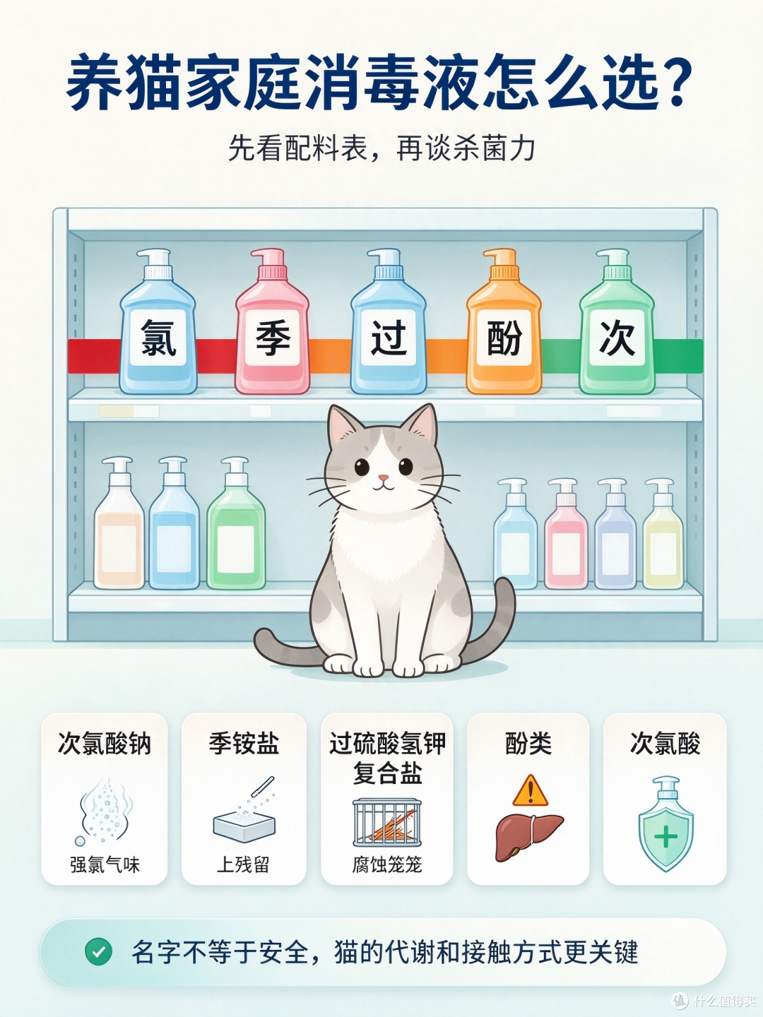养猫家庭清洁图文整理记录