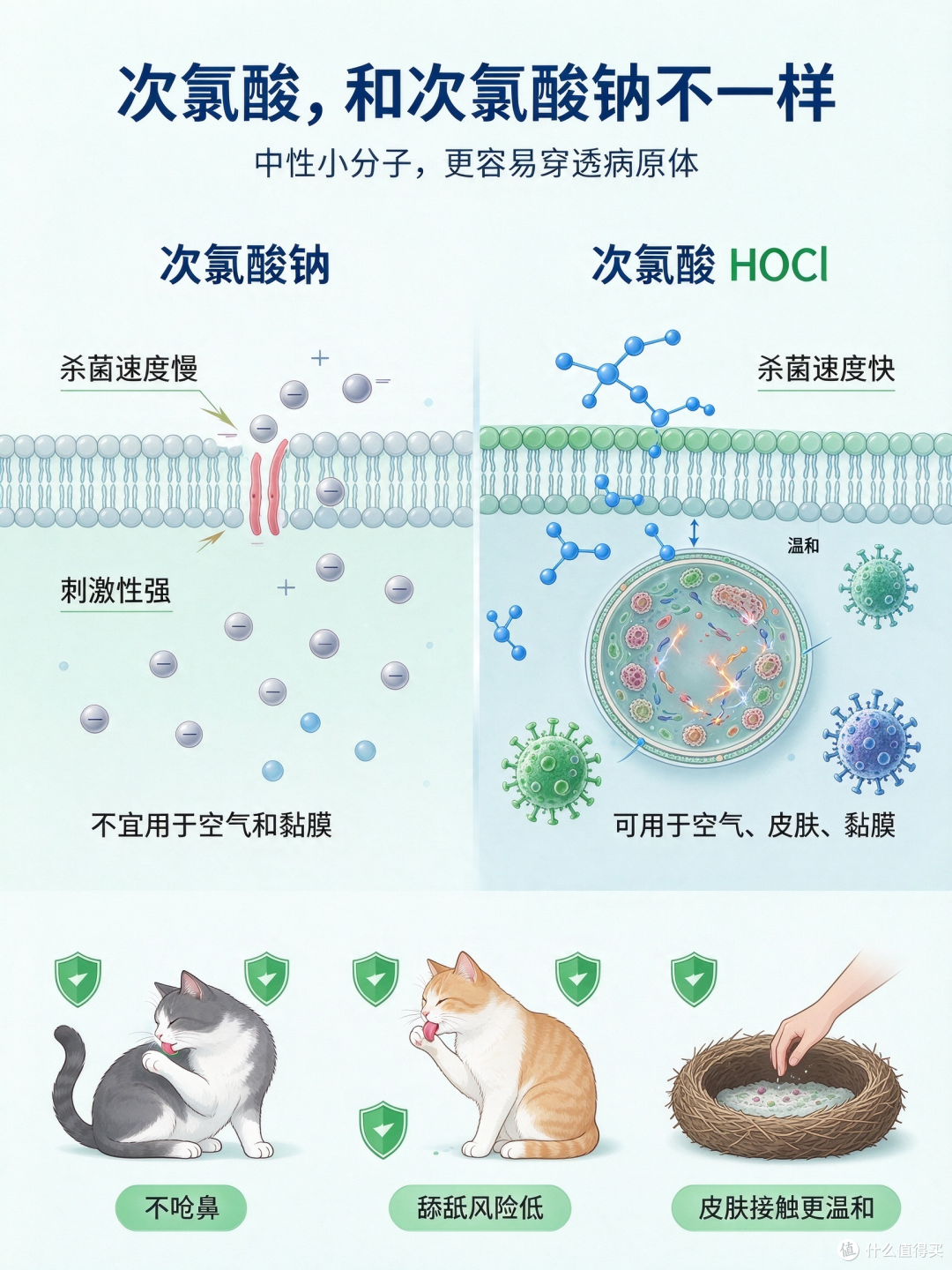 养猫家庭清洁图文整理记录
