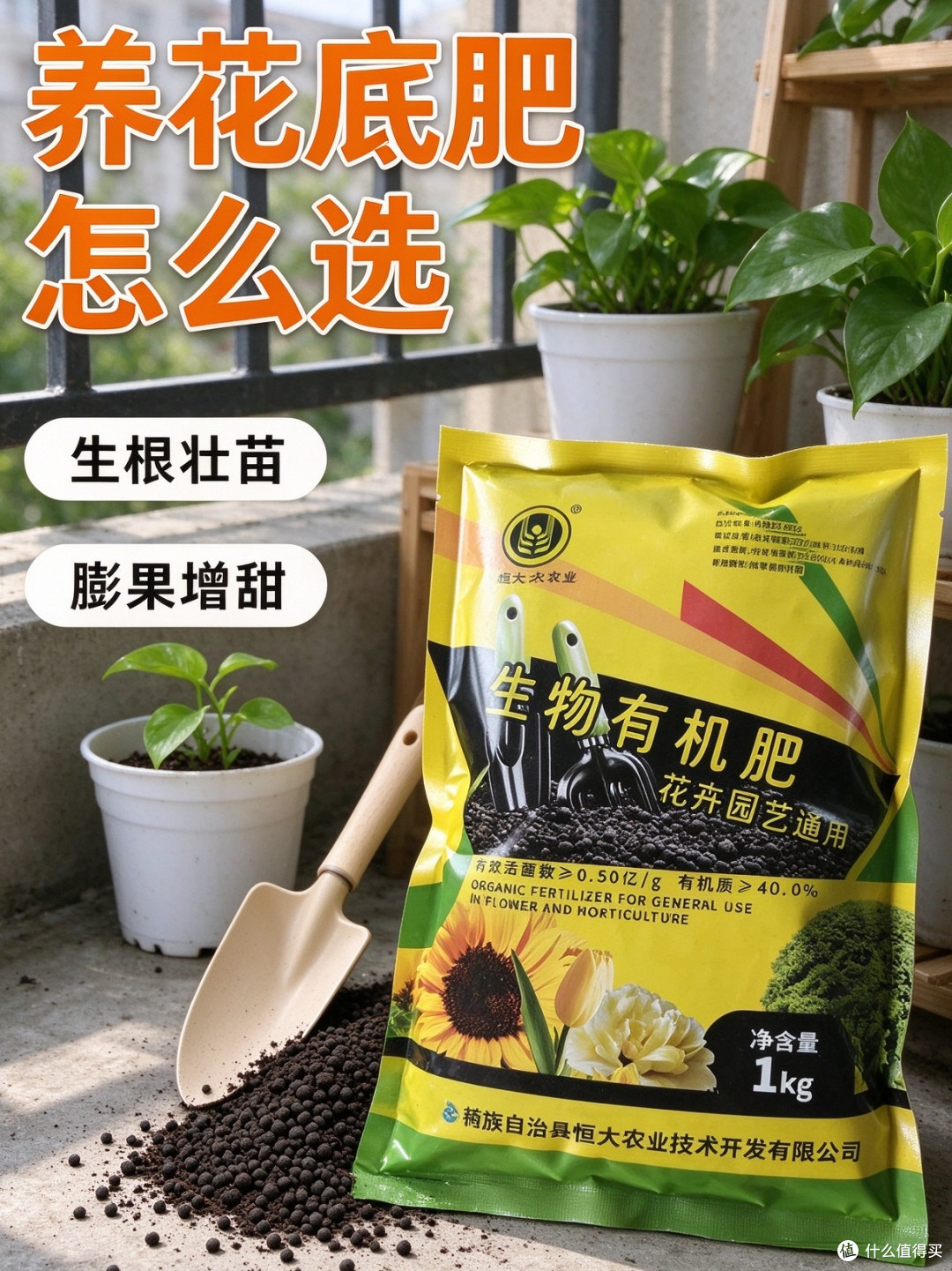 🍅种菜必囤！有机肥养土，果子更大更甜