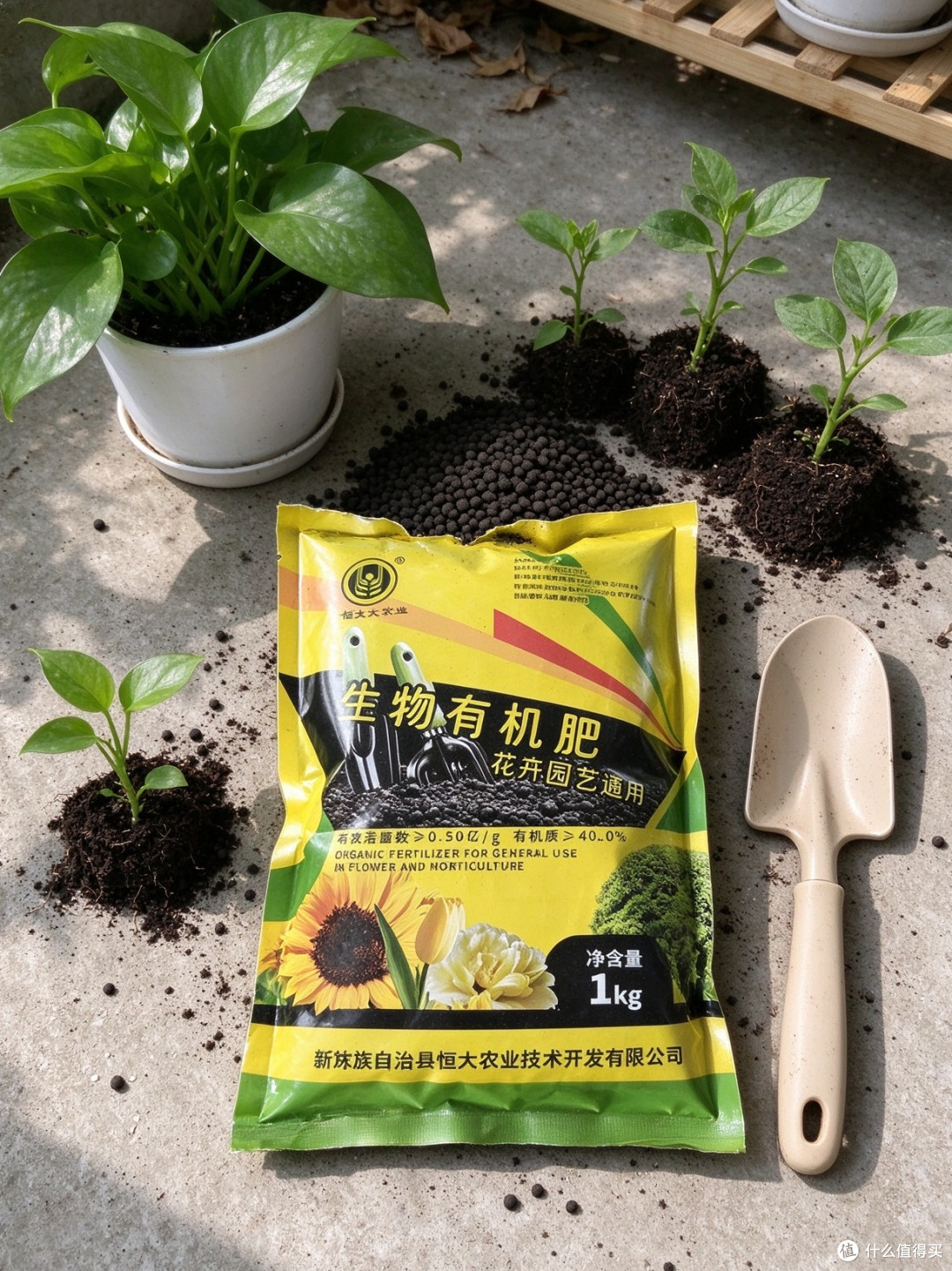 🍅种菜必囤！有机肥养土，果子更大更甜