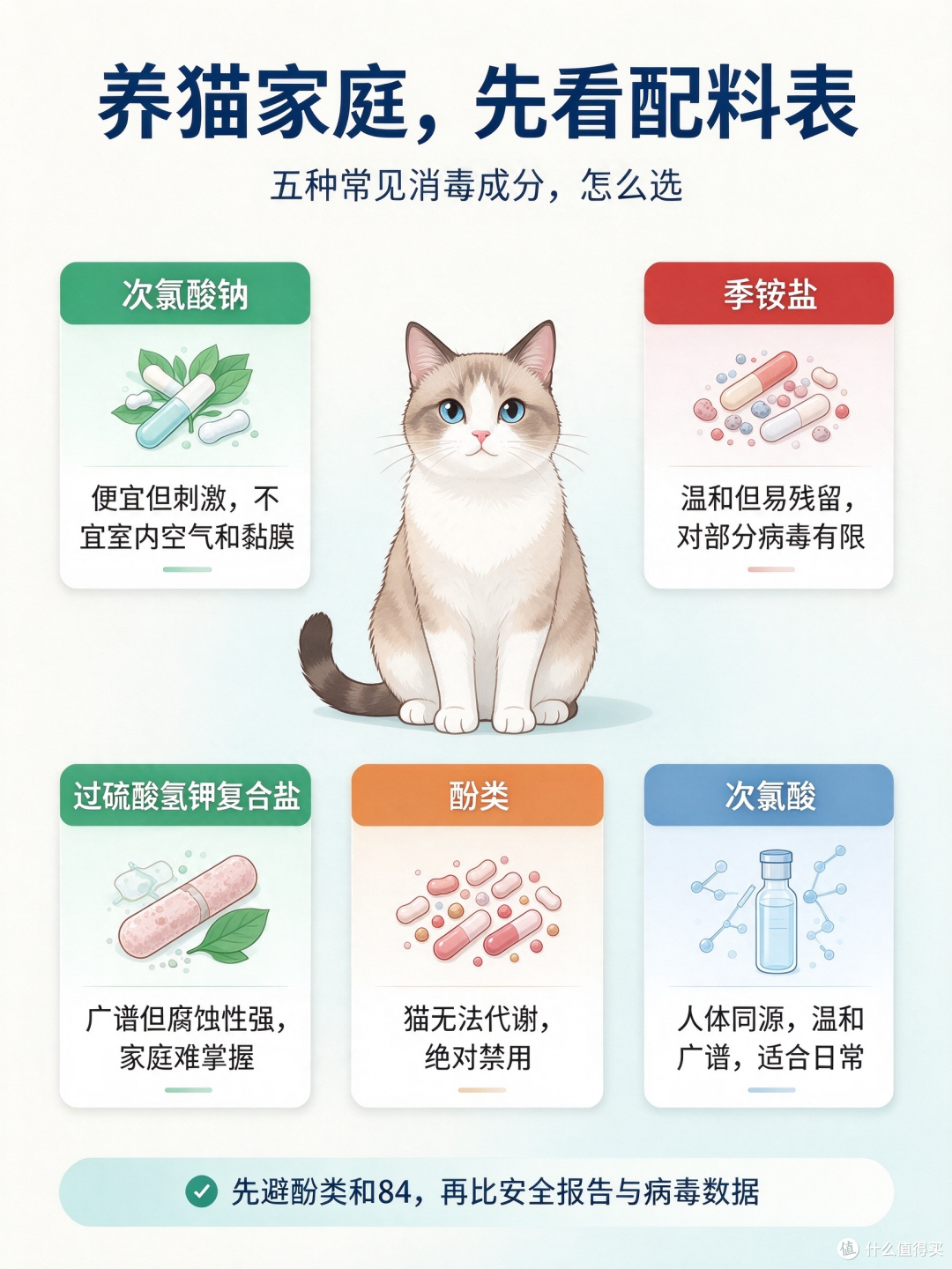 养猫家庭清洁图卡整理记录
