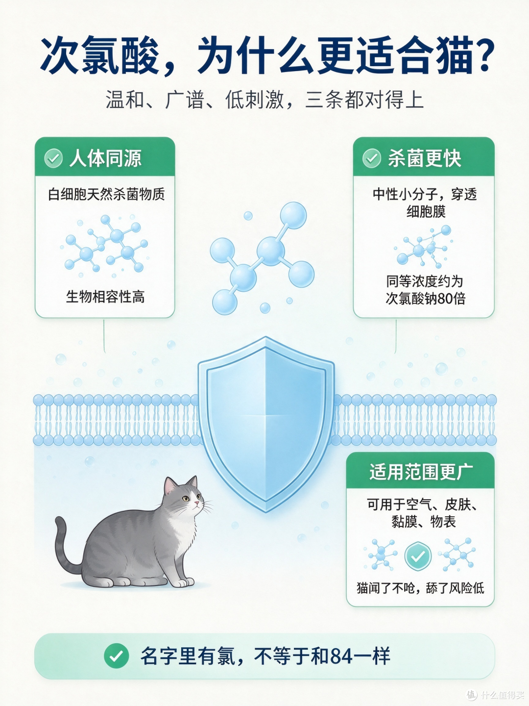 养猫家庭清洁图卡整理记录