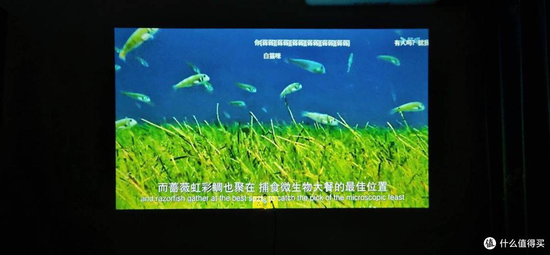 GlowBox小光盒R1深度实测!高亮超清+360°调节,氛围感直接拉满!