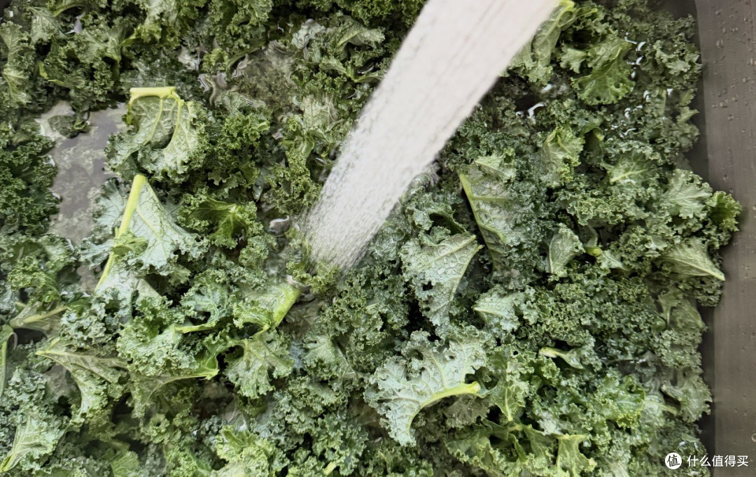 减脂神菜羽衣甘蓝翻车？绕了一圈它还是一棵菜