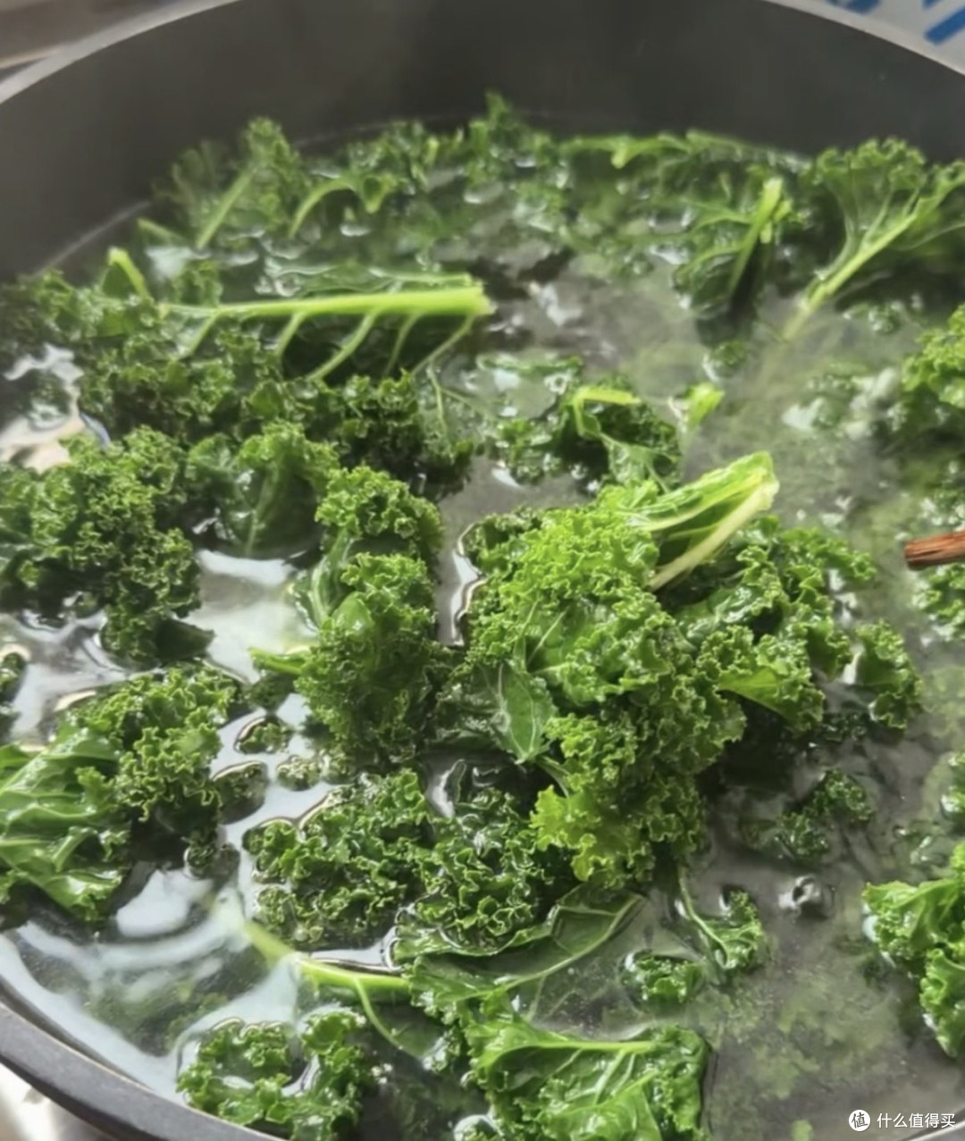 减脂神菜羽衣甘蓝翻车？绕了一圈它还是一棵菜