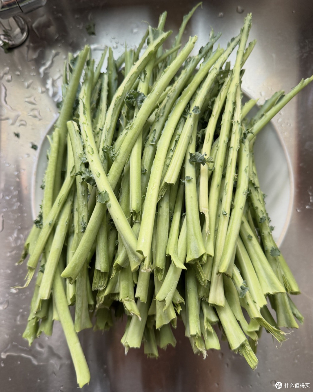 减脂神菜羽衣甘蓝翻车？绕了一圈它还是一棵菜