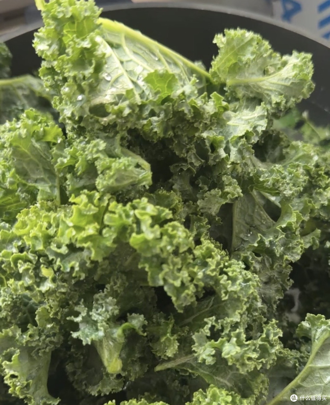 减脂神菜羽衣甘蓝翻车？绕了一圈它还是一棵菜