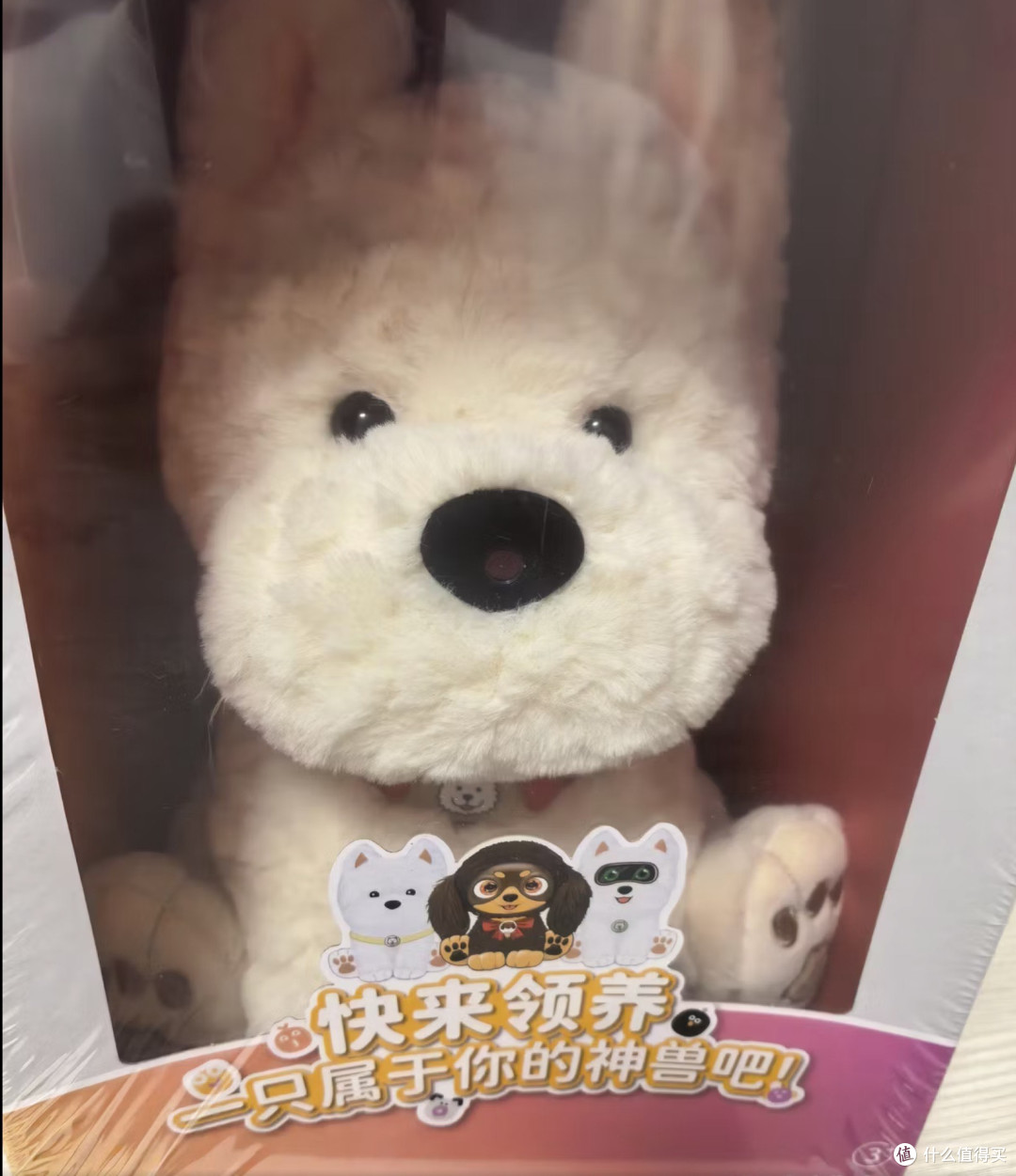 别买噜咔博士Calolo！798元买的AI机器狗，再开机就不认识孩子了