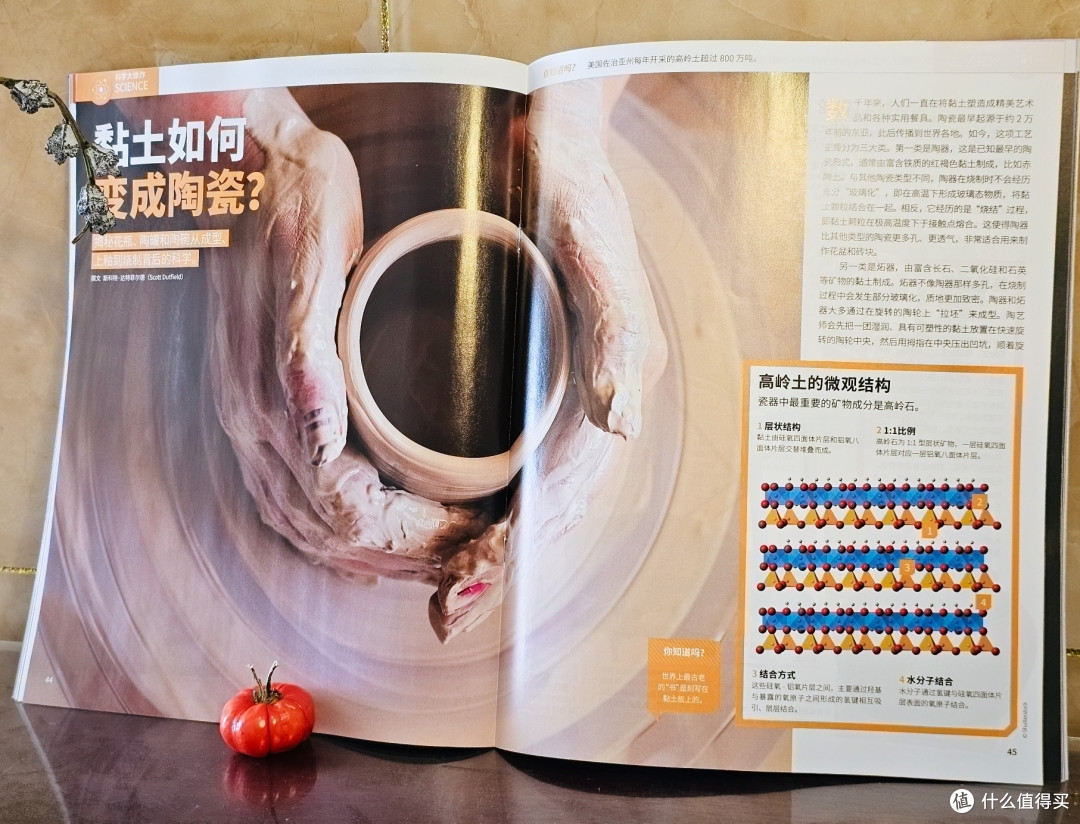 宝妈注意！亲测 5~9年级期刊杂志选购经验和避雷要点