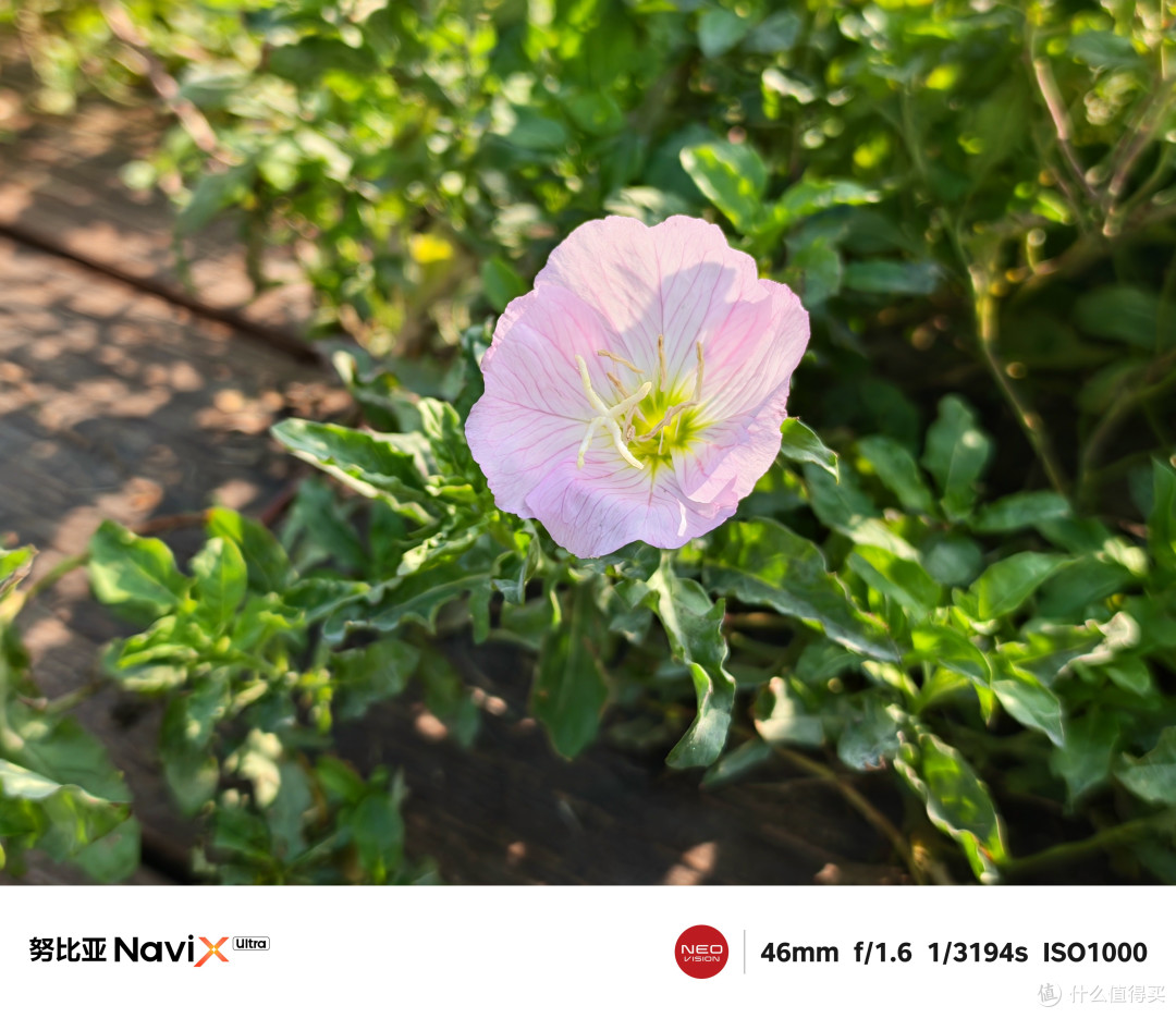 一颗AI键让手机真帮你干活，努比亚NaviX Ultra豆包手机深度体验