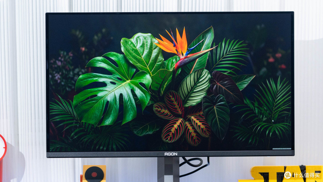 4K 240Hz 的 QD-OLED 天花板：AGON 昊天 Max AG326UZD2 评测