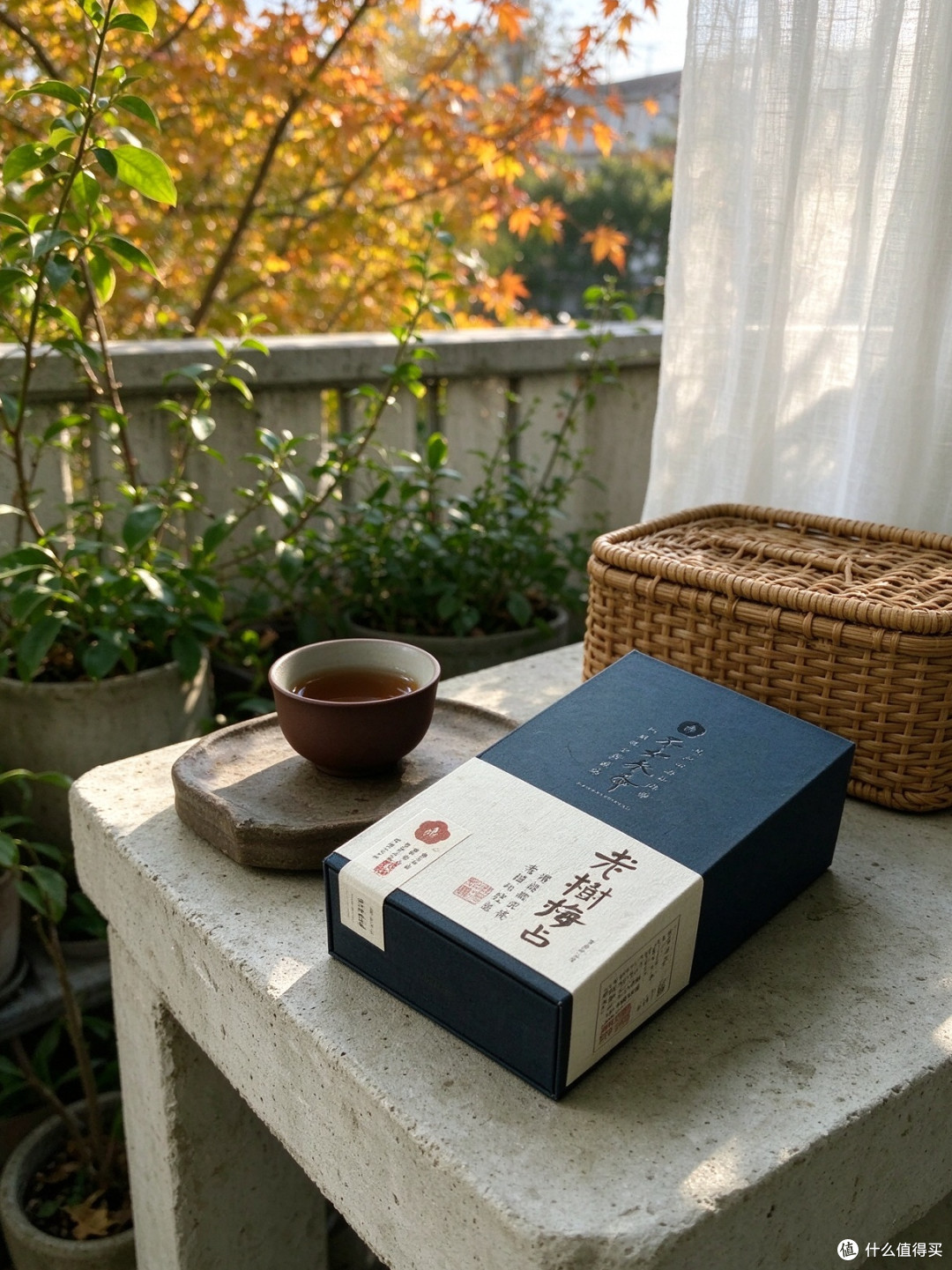 老树梅占的梅花香，和普通岩茶的花香是两条路