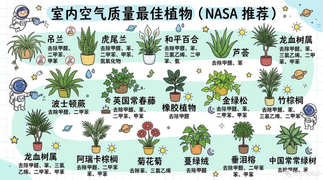 室内空气质量最佳植物（NASA 推荐）