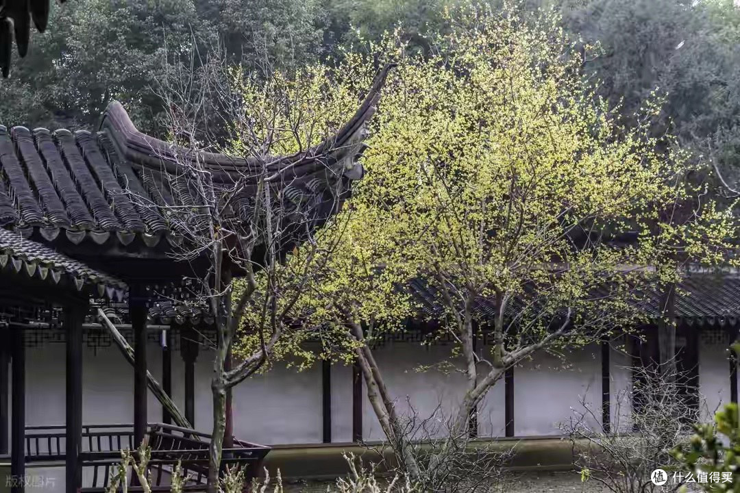 双11美嘉年益生菌规格与吃法参考