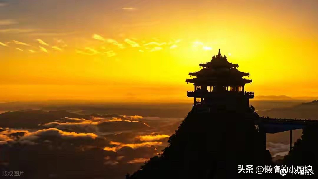 复购同一款益生菌,我会重新核对这五项