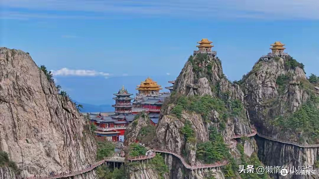 淡干海参选购:先看水分再比蛋白