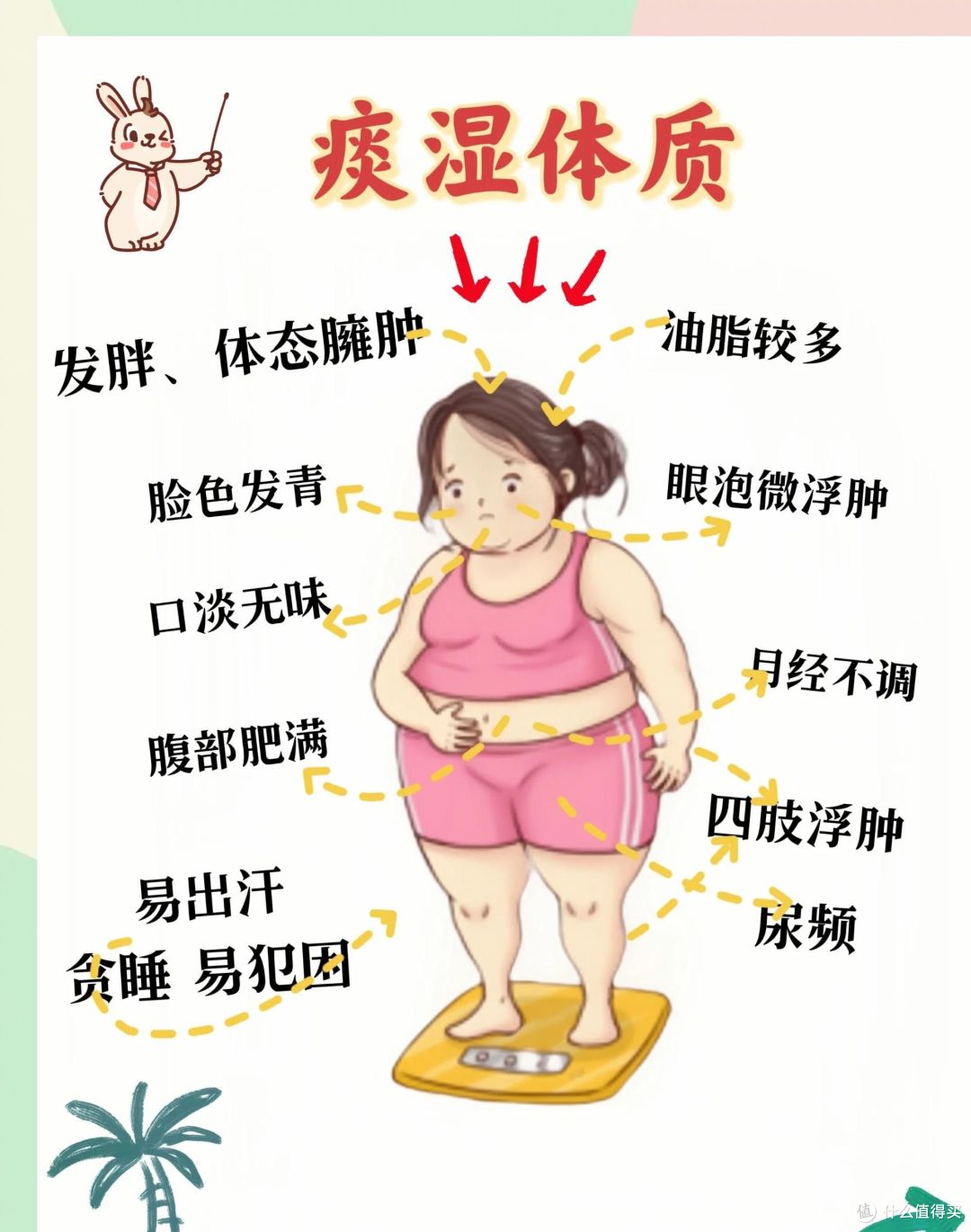 秋天别盲目润肺!痰湿体质先健脾,这3类滋补先别买