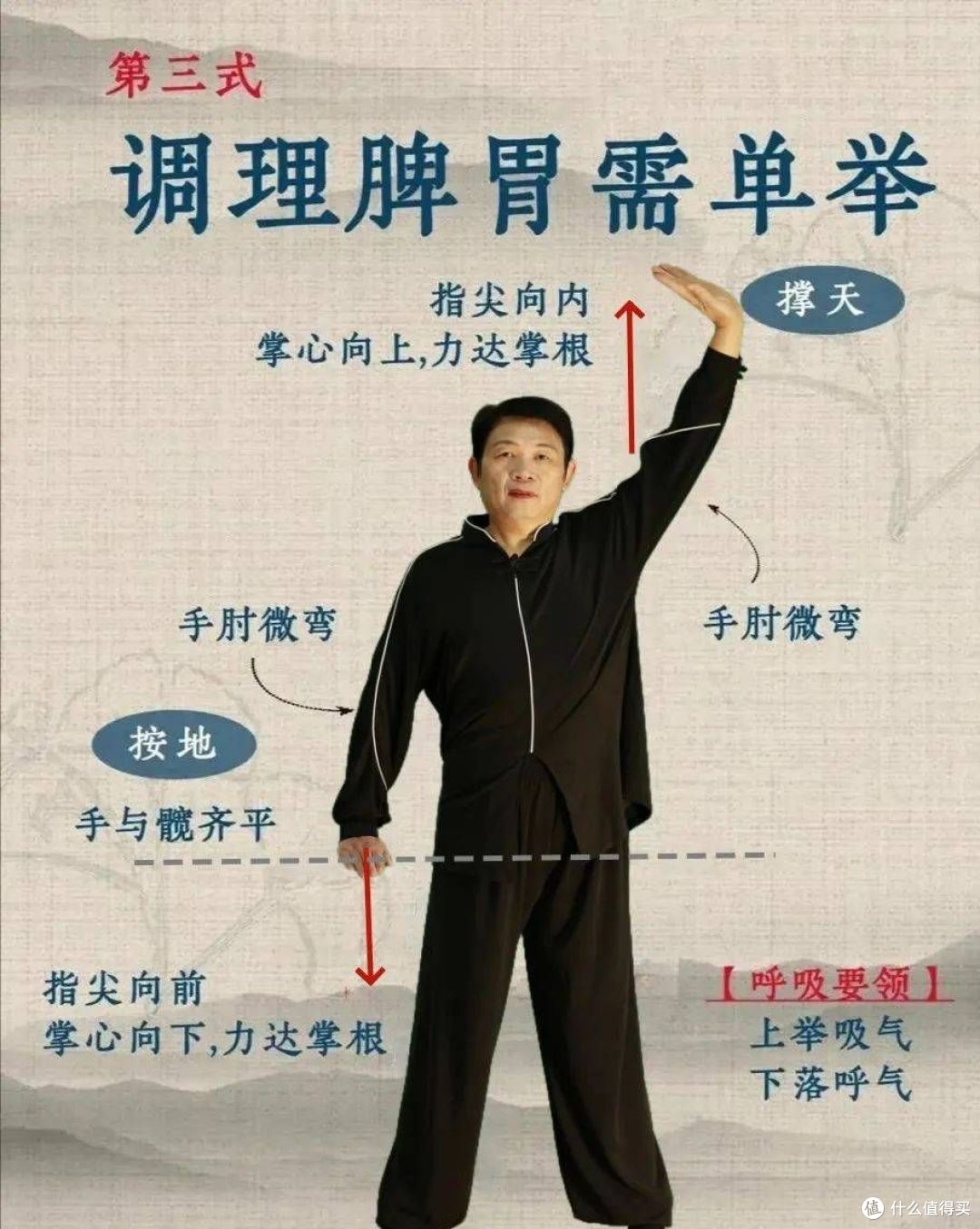 秋天别盲目润肺!痰湿体质先健脾,这3类滋补先别买