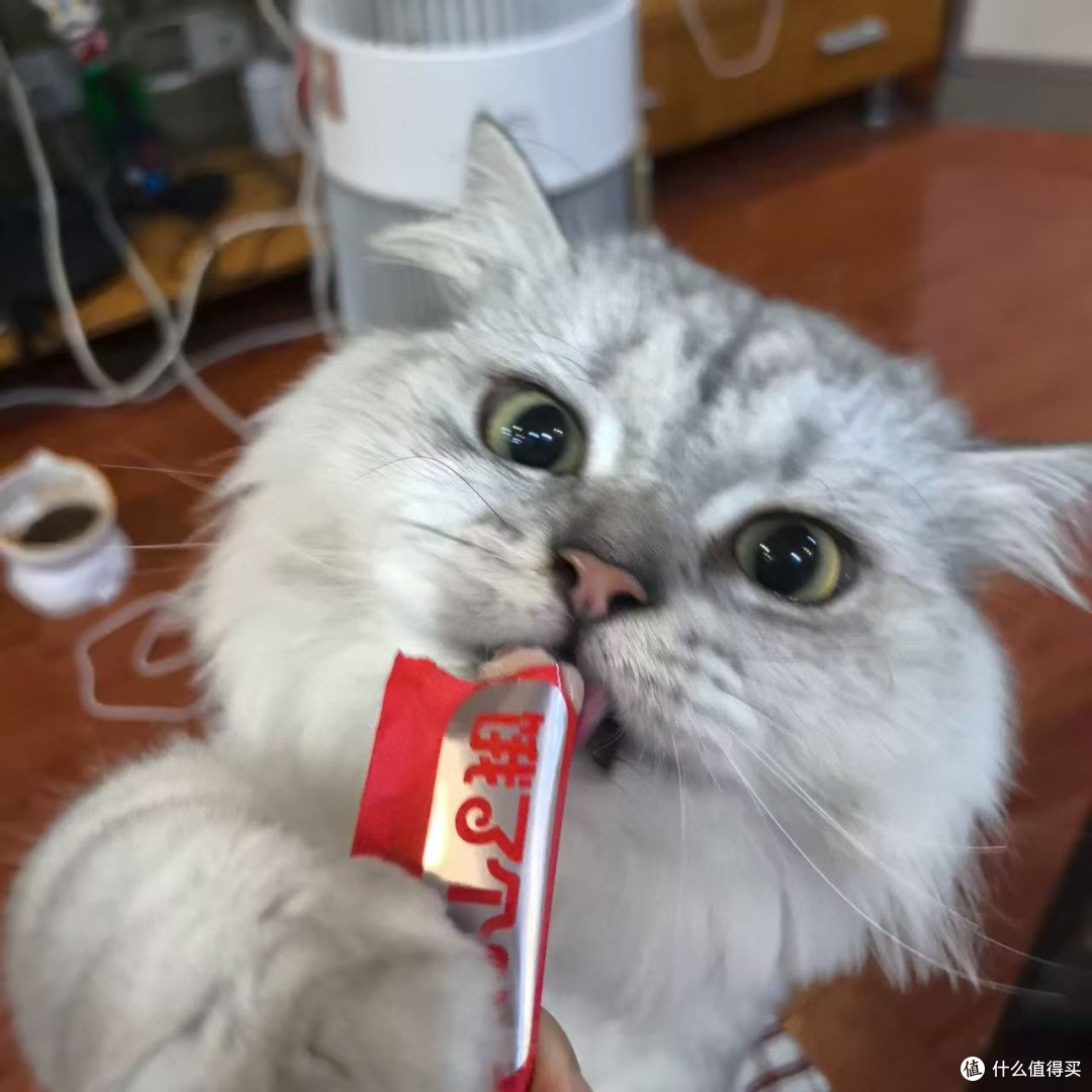鲜肉主食猫条成猫幼猫拌粮低敏美毛两用款