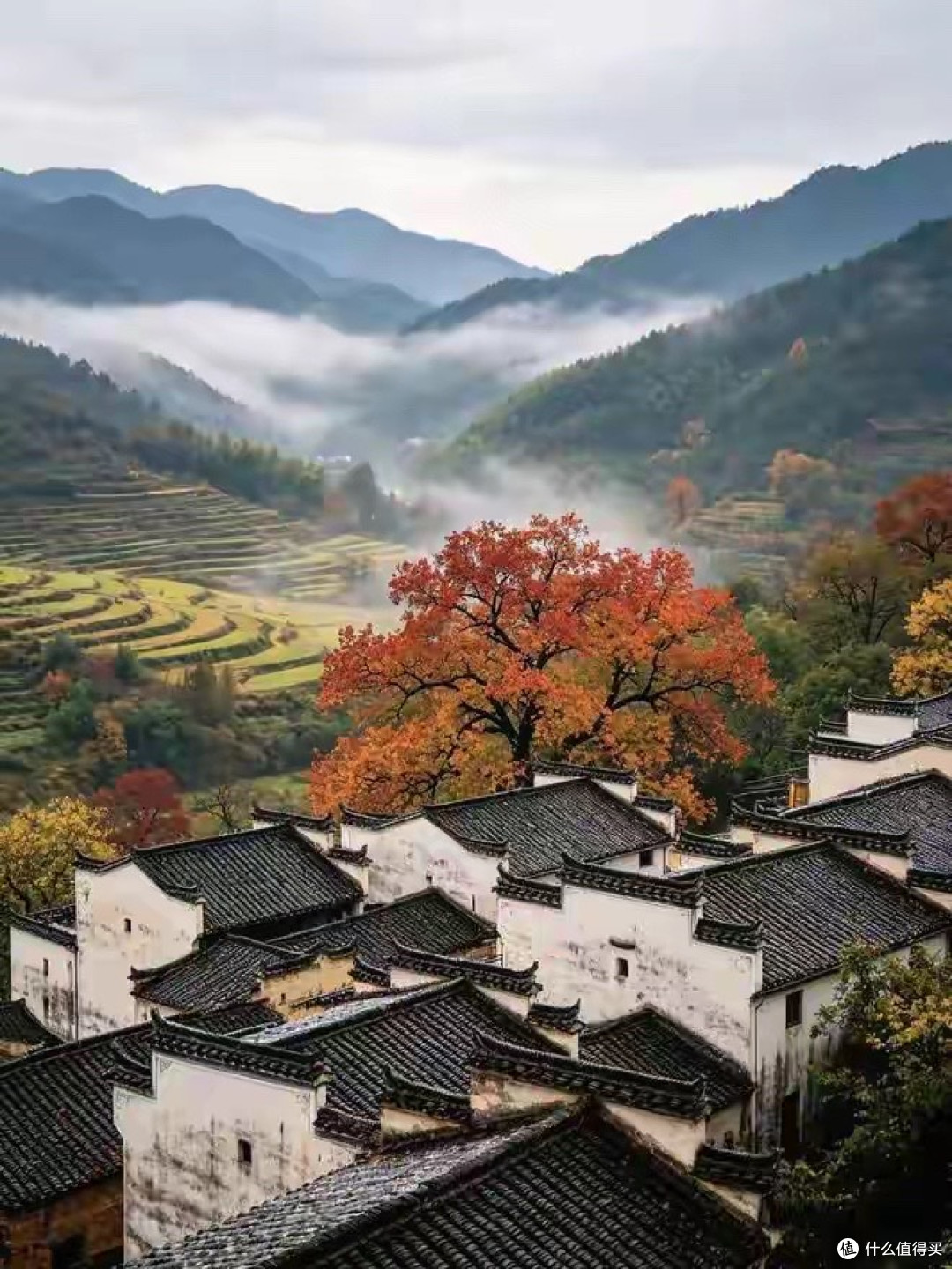 蛋白粉怎么挑:按场景和配方理顺一次