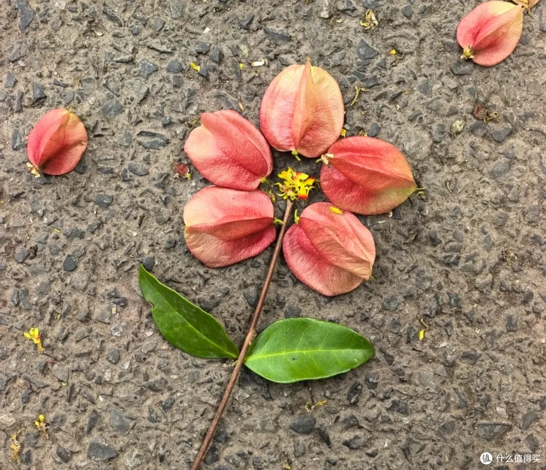 经济上行时我有多敢买?网友:真想穿越回去抽死当年的自己!